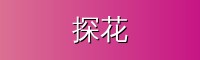 探花